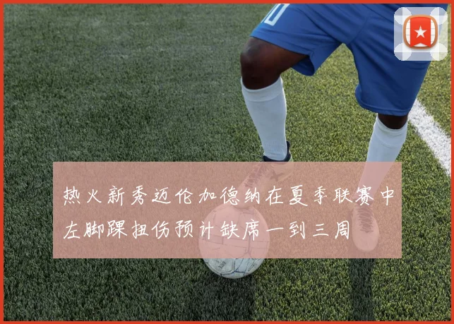 热火新秀迈伦加德纳在夏季联赛中左脚踝扭伤预计缺席一到三周