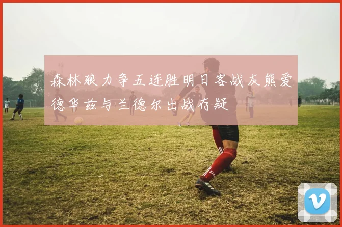 森林狼力争五连胜明日客战灰熊爱德华兹与兰德尔出战存疑