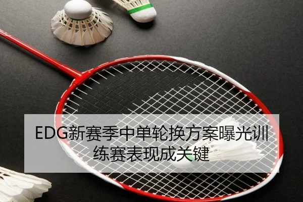 EDG新赛季中单轮换方案曝光训练赛表现成关键
